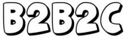 b2b2c网站建设定义图